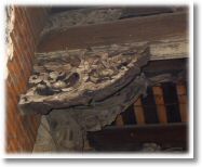 ���٬W�樤�W����T���Τ��J�c��A�����N���@��ͻH�b�W���W���V������X�A���s�B��Bž���B�P�b�B�᳾�B���x�B���ʵ��U�اΦ��������A�����Ӧ��C